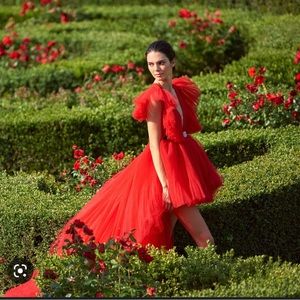 Giambattista Valle X HM Dress